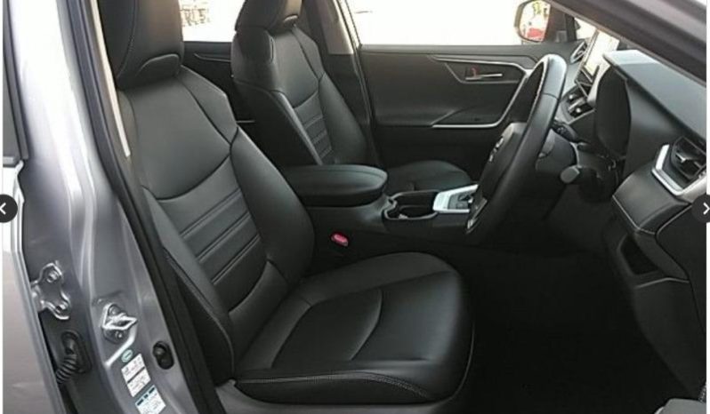 
								Toyota RAV4 Hybrid 2019 full									