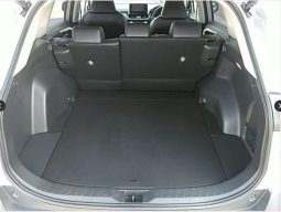 
										Toyota RAV4 Hybrid 2019 full									