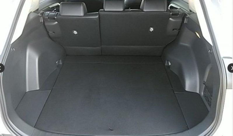 
								Toyota RAV4 Hybrid 2019 full									