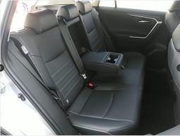 
										Toyota RAV4 Hybrid 2019 full									