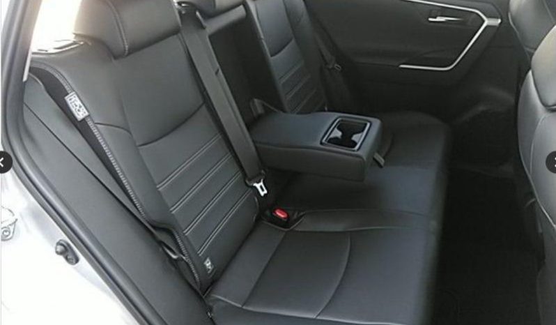 
								Toyota RAV4 Hybrid 2019 full									