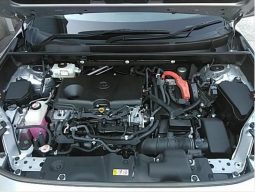 
										Toyota RAV4 Hybrid 2019 full									