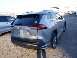 
										Toyota RAV4 Hybrid 2019 full									