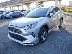 Toyota RAV4 Hybrid 2019